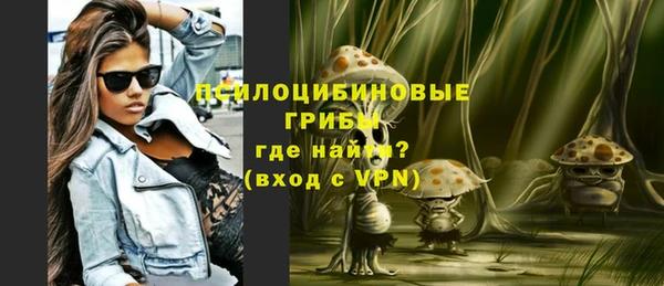 прущая мука Арсеньев