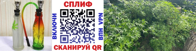 ссылка на мегу зеркало Вихоревка Марихуана марихуана